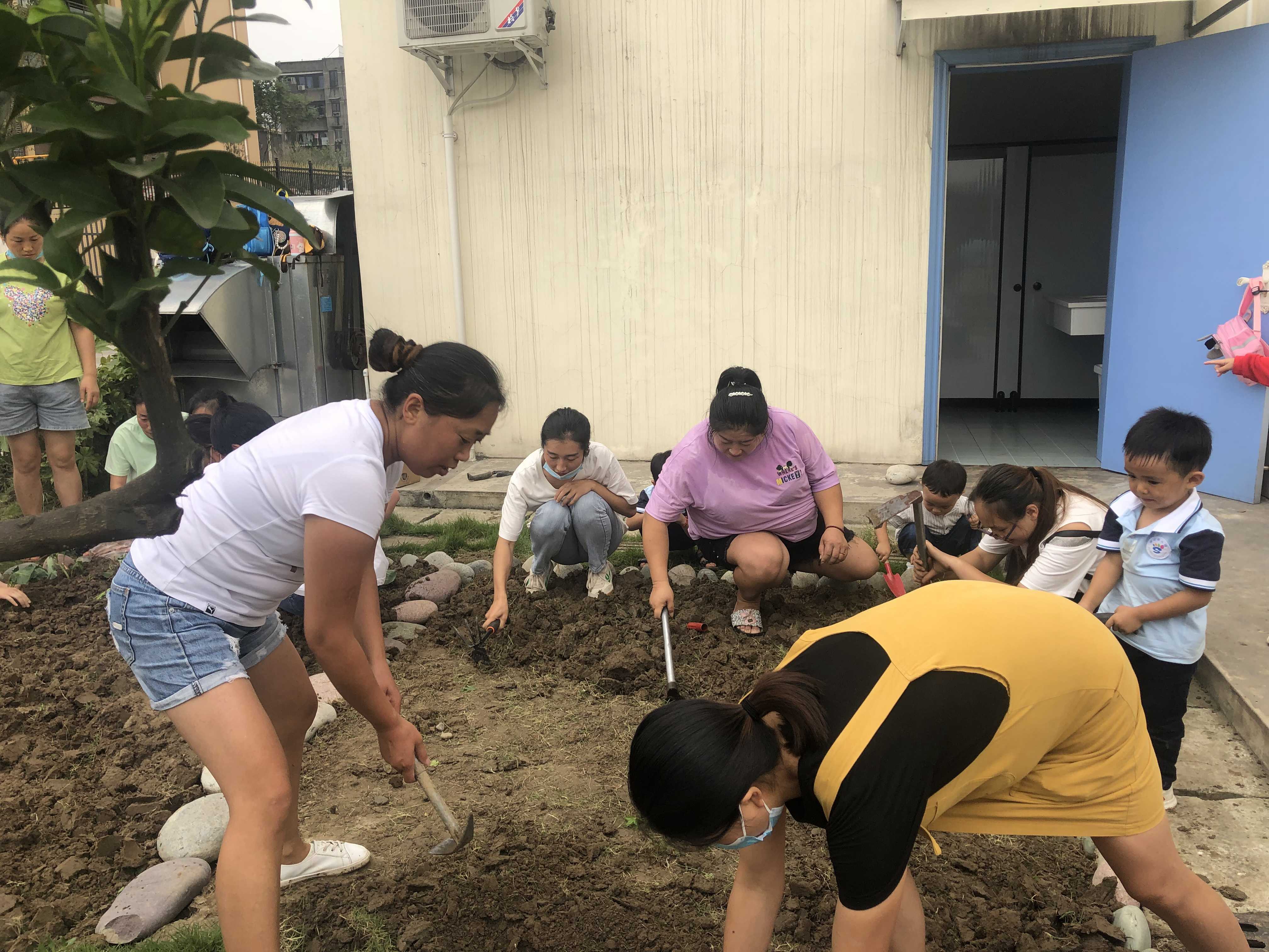 沙湾区绥山幼儿园开展种植实践活动