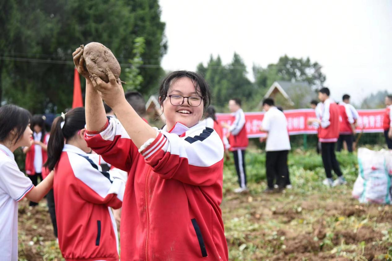 平昌县信义小学:田间采摘忙 劳动乐翻天