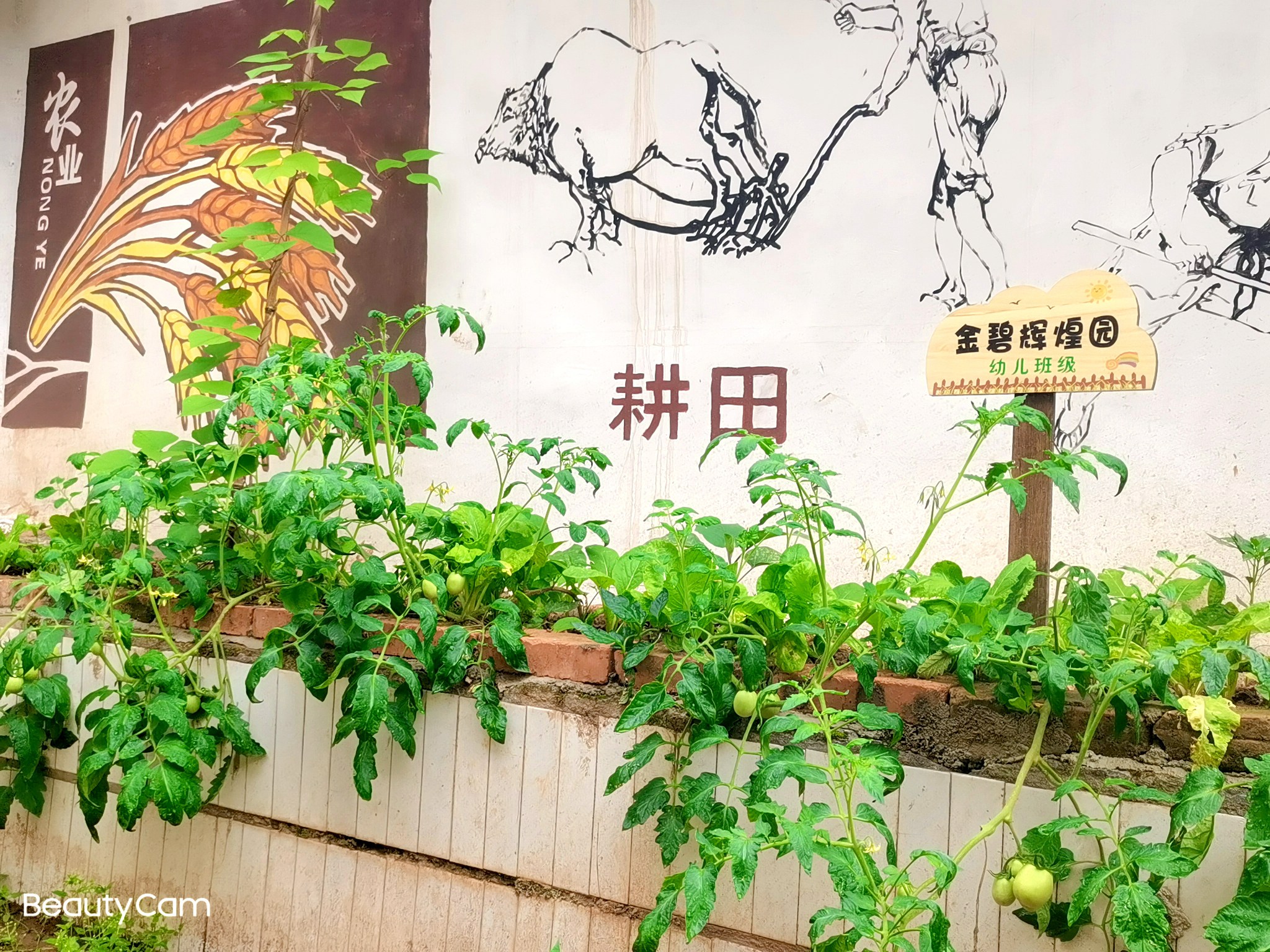 万源市新店小学:小小“责任地”耕读出“大教育”