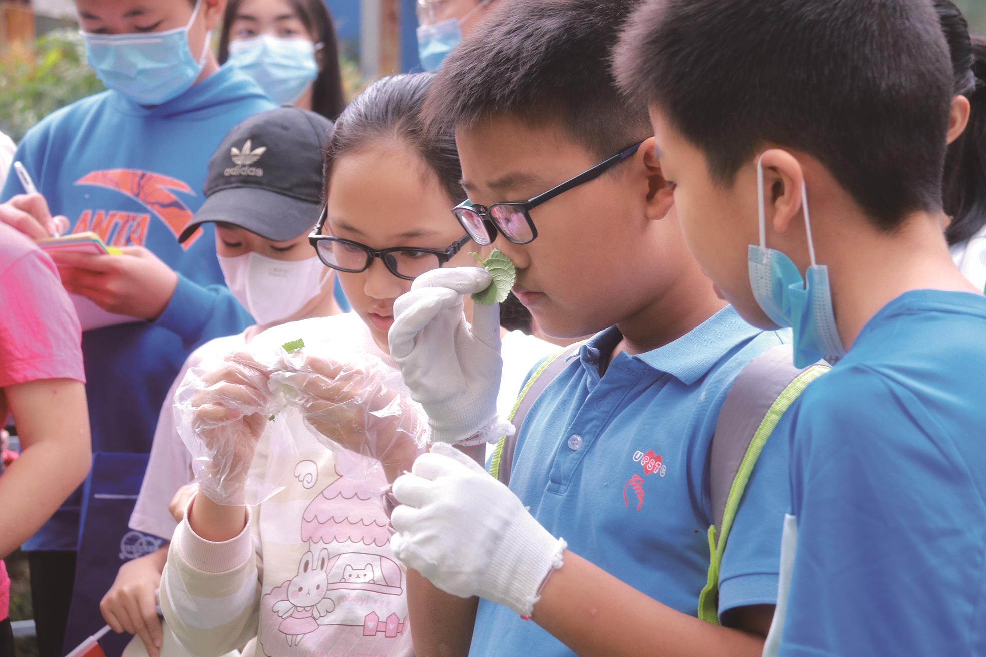 “双减”之下，社会力量如何助力孩子多元成长？一场家门口的研学之旅