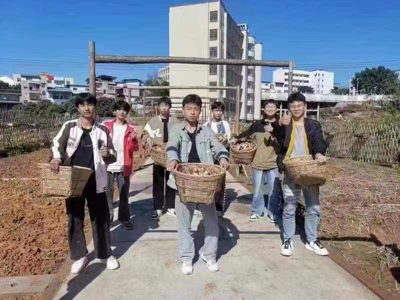 合江县大桥中学师生共建花园式劳动实践基地