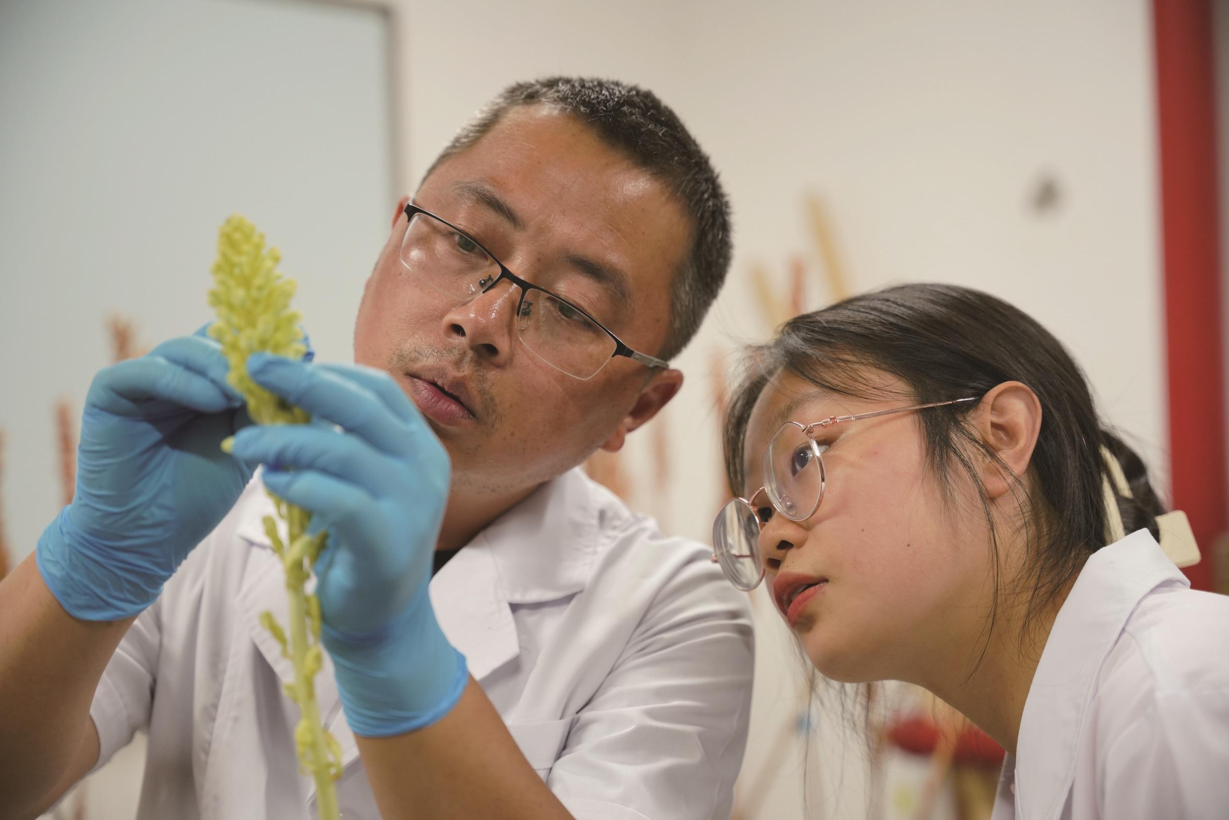 “草药哥”刘德军： “这事儿挺有意义的”