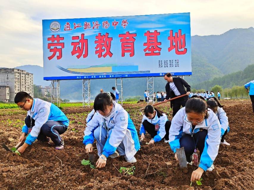 通江县涪阳中学2000余名学子秋种忙