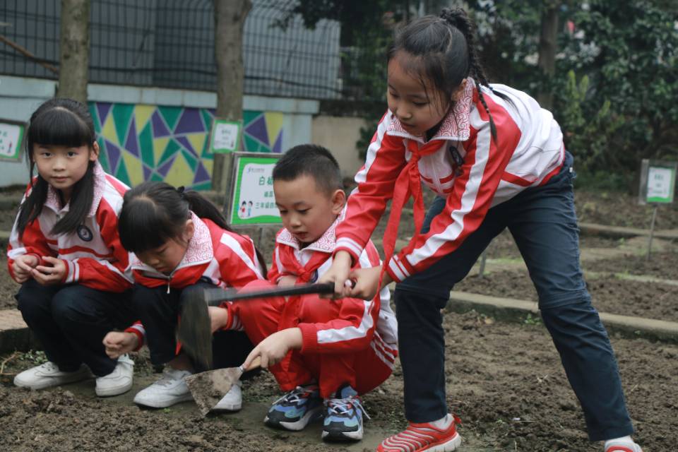 秋分播种忙，成都市锦江实验学校“三趣园”开园