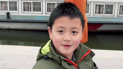 我的好伙伴