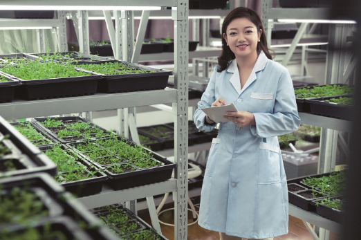 将科学研究“血战到底”