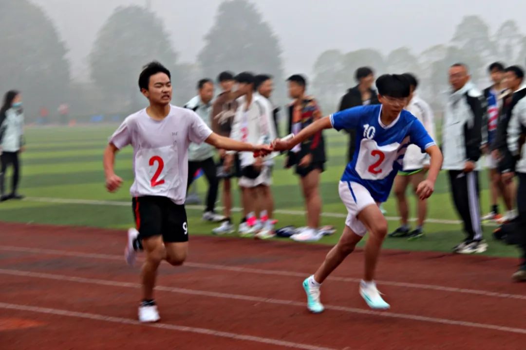 井研县2023年中小学生田径运动会精彩落幕