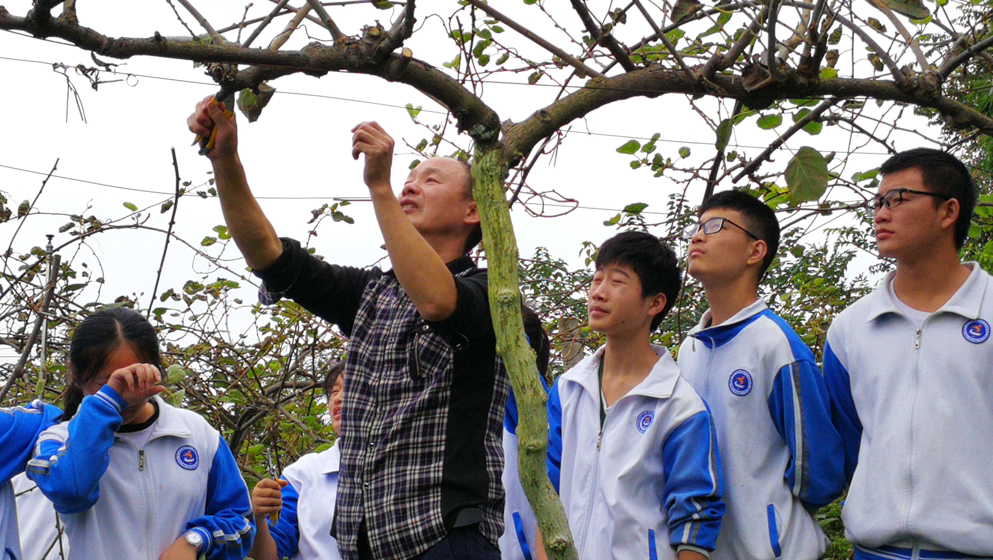 闫书贵:在土地中感悟“种树育人”的哲学丨最美教师 荣耀四川