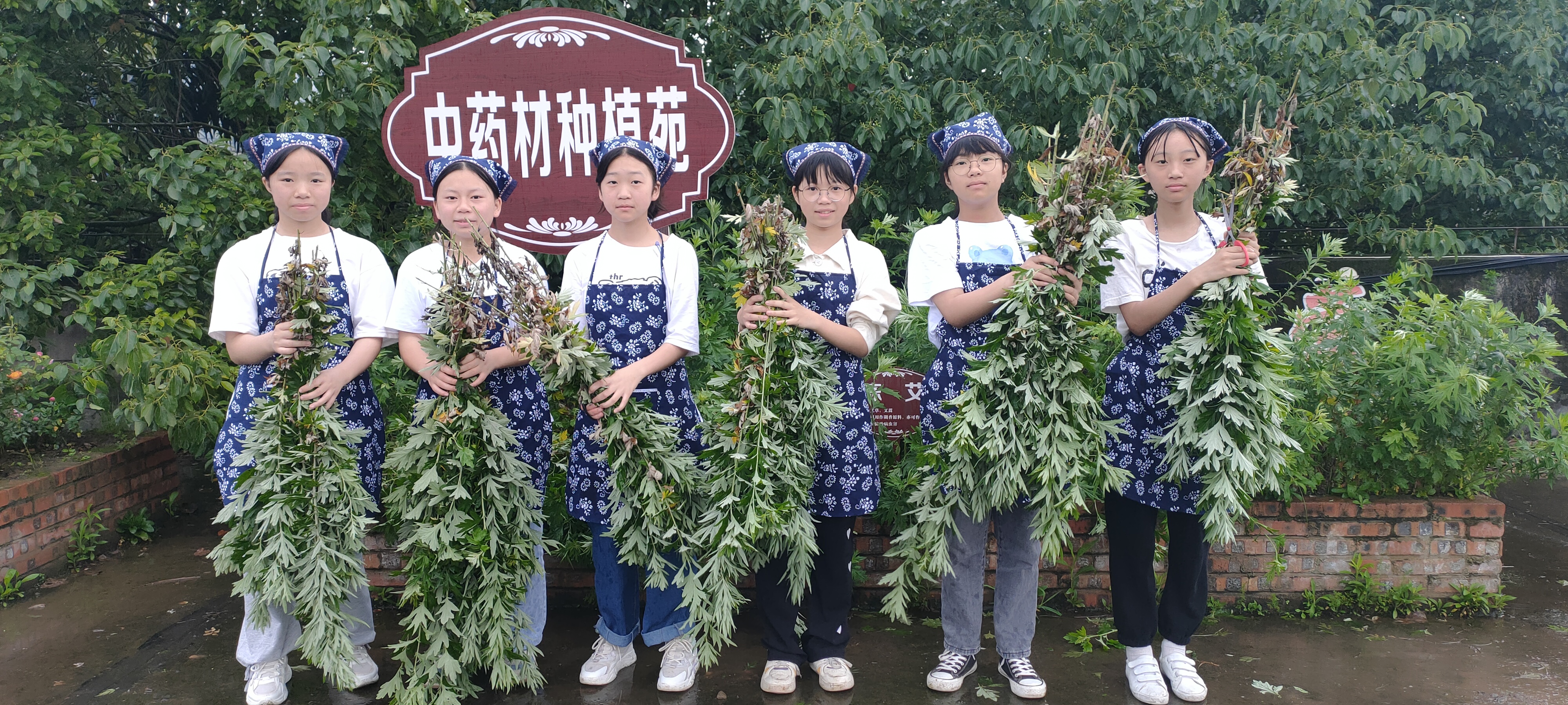 叙州区构建“1123”体系,全域推进劳动教育