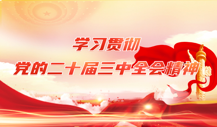 学习贯彻党的二十届三中全会精神