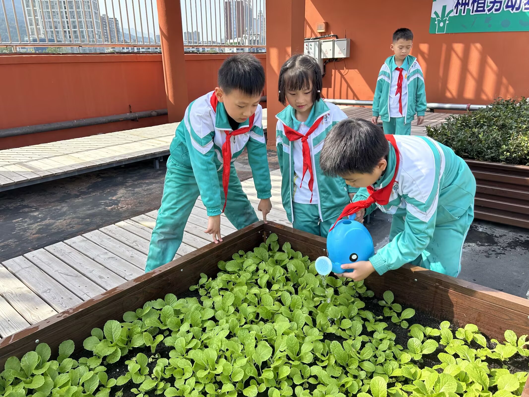 广元市实验小学：校园无“闲地”  处处皆“课堂”|记者在一线