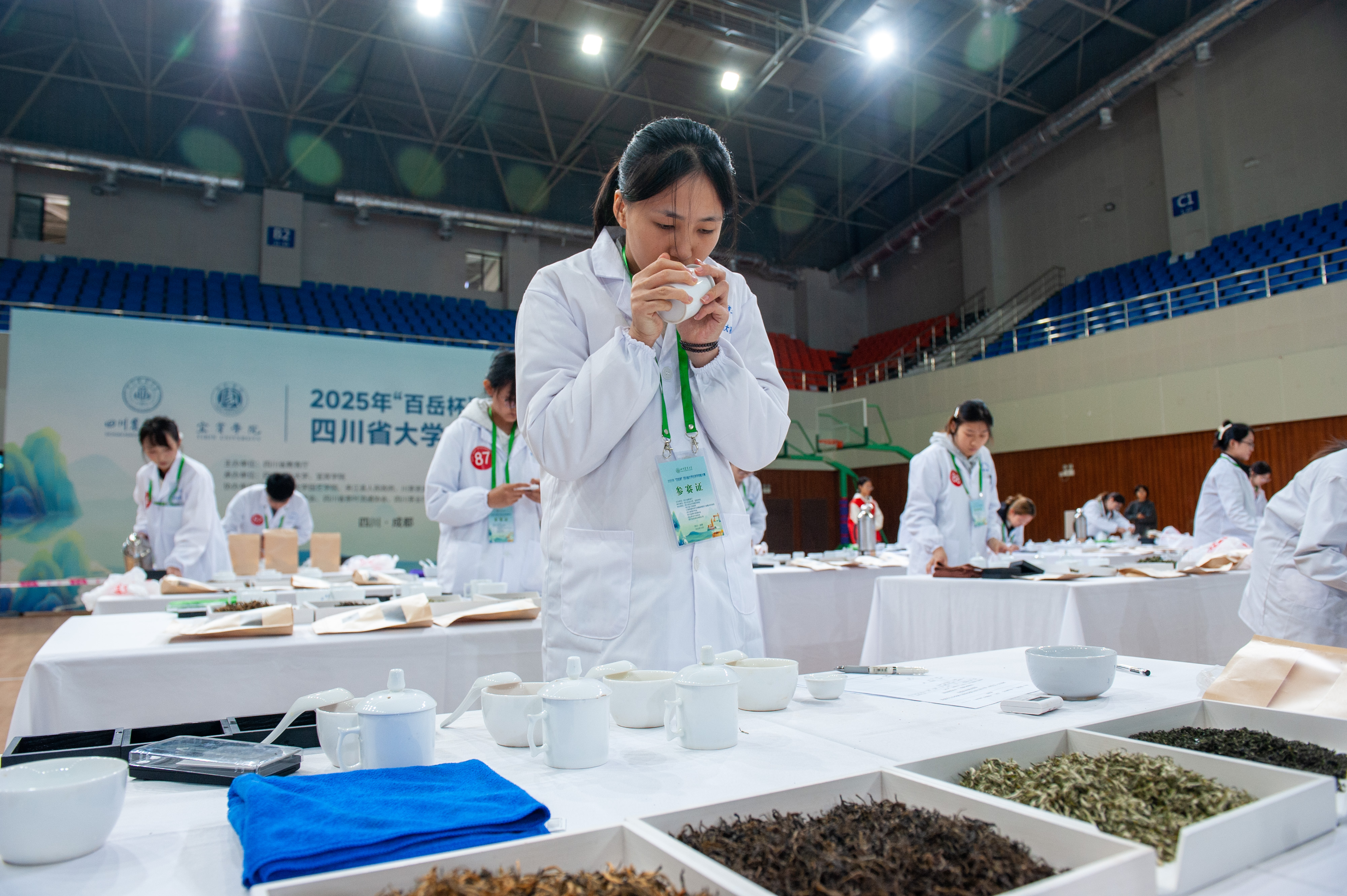 审茶、评茶、拼配茶……记者走进技能大赛现场,看大学生如何比拼茶技