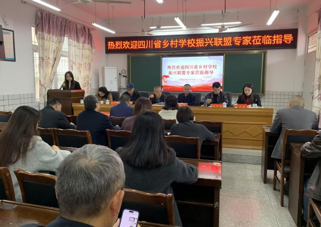 精准赋能乡村教育高质量发展,四川省乡村学校振兴联盟赴内江开展巡诊指导