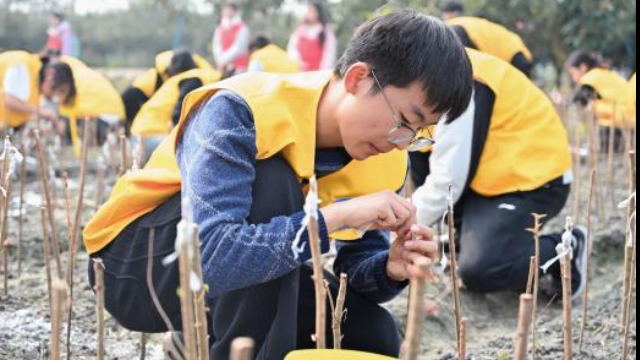 2025西南区高等院校大学生园艺植物技能大赛在蓉举行