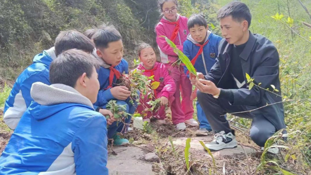宣汉县厂溪镇梨子中心校:深耕中医药文化 培育新时代少年