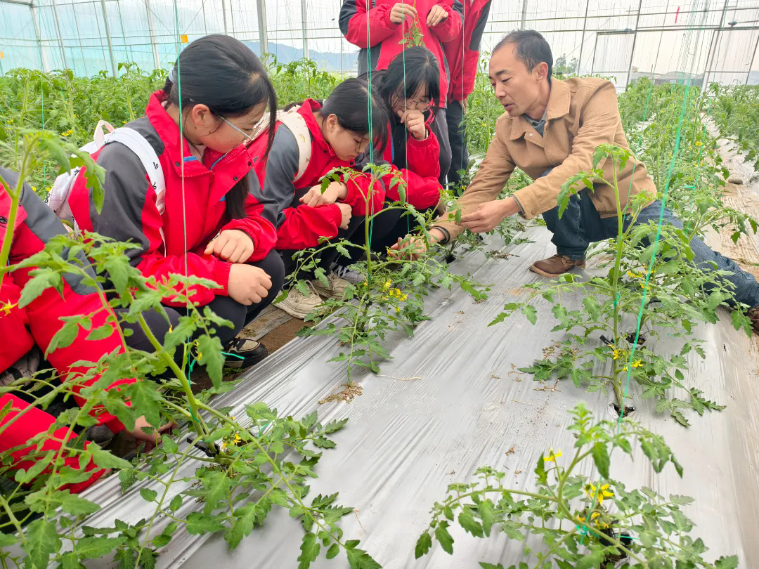 乐山市沙湾区绥山初级中学:春耕劳作中感受现代农业的科技魅力