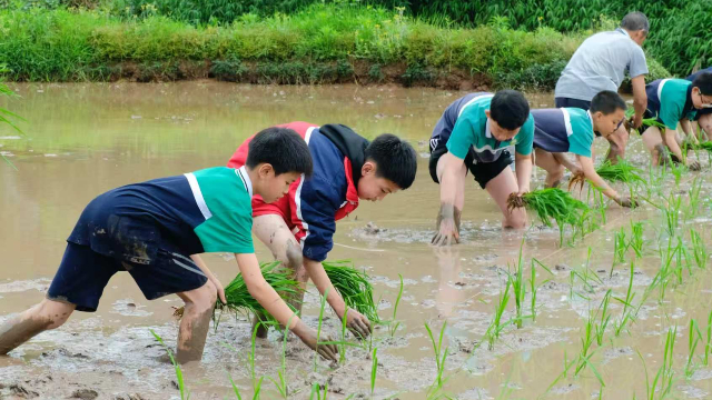 合江县凤鸣镇中心校:踏春寻泥趣 农耕启童心
