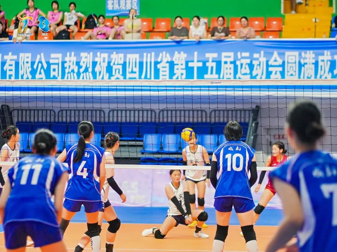 8年砺剑,省运登顶!武侯校园女排代表成都市再夺冠
