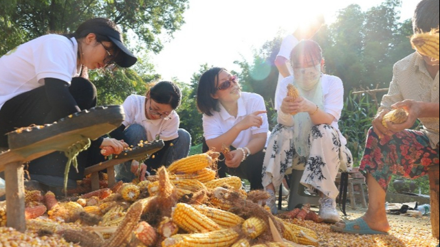 青春推普助振兴，国家语言文字基地（四川民族学院）“语”润巴蜀推普实践团净土村“三下乡”收官