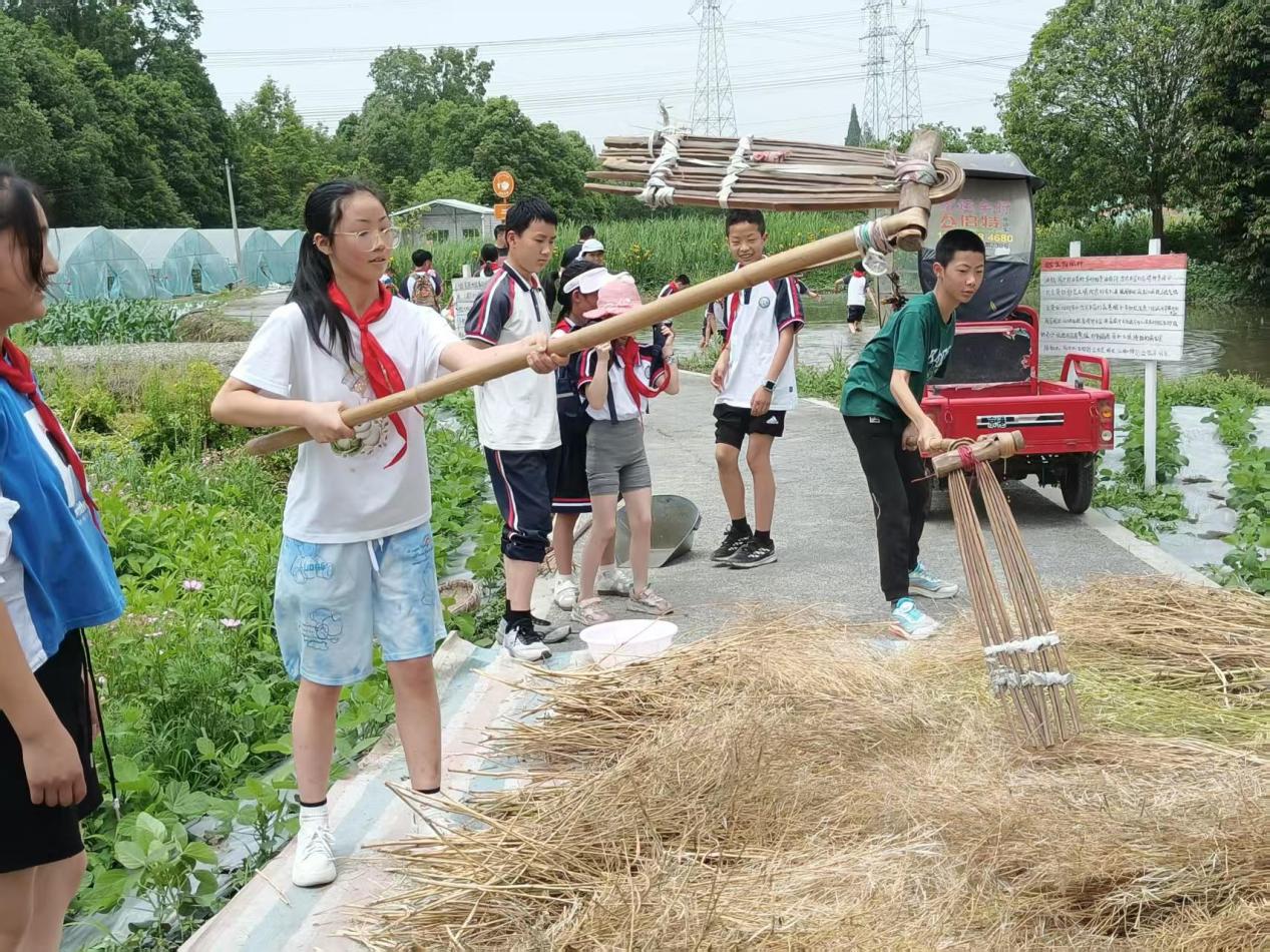 体验农耕乐趣，都江堰市两校学生开展特色劳动实践活动
