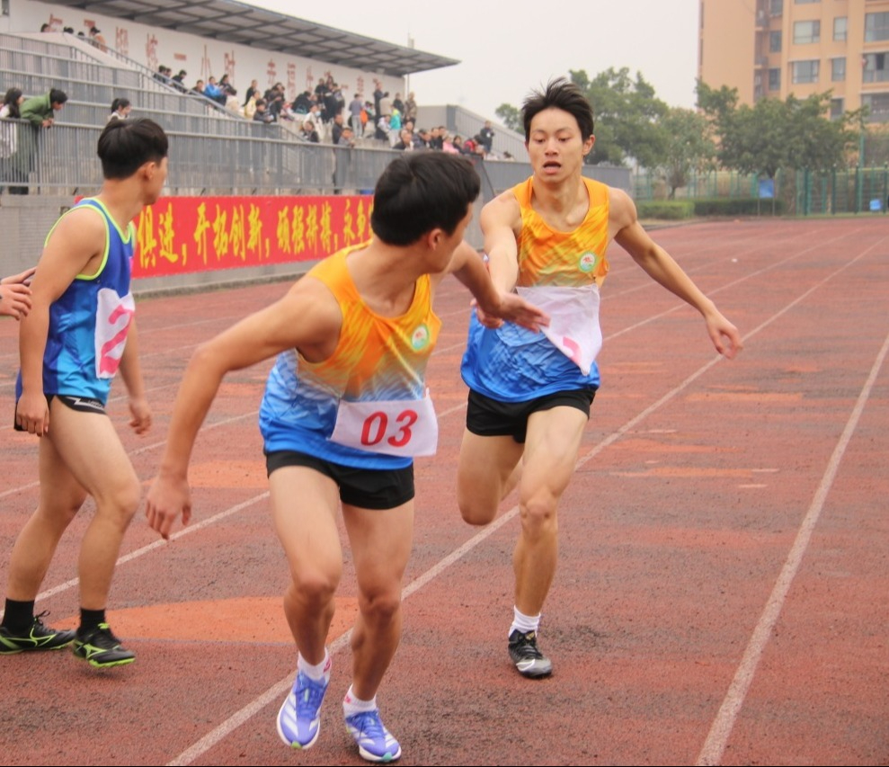 井研县举行中小学生田径运动会