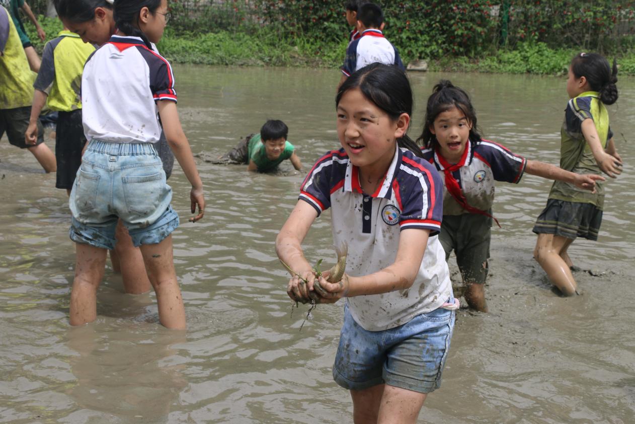 25510093215077