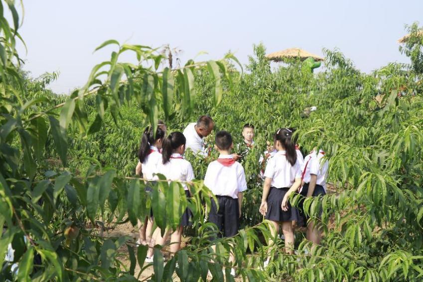 眉山市彭山区第四小学:在学生心中播下热爱科学的种子