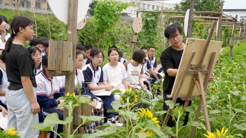 合江县大桥中学:油葵地里“玩”出艺术