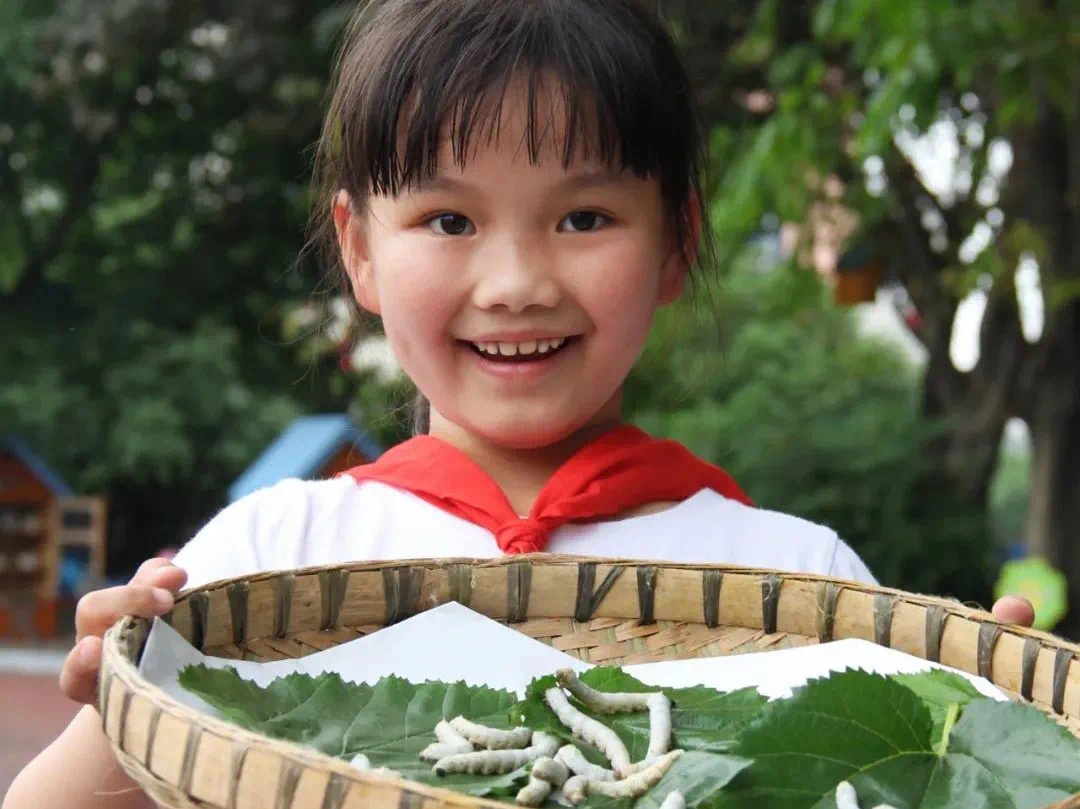 全国中小学劳动教育现场推进会上,金牛区展示了这些教育实践成果