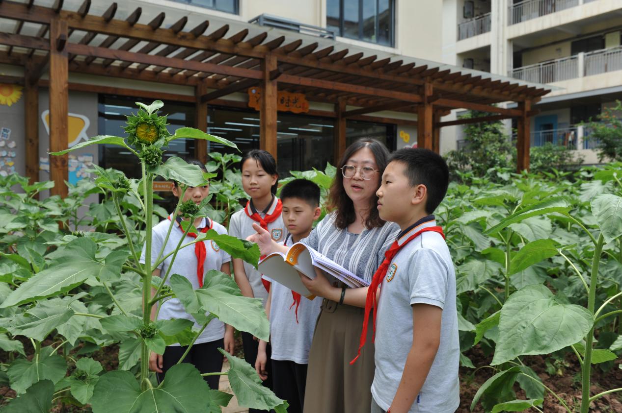 泸州市江南小学:打造课后服务特色课程,助力学生全面发展