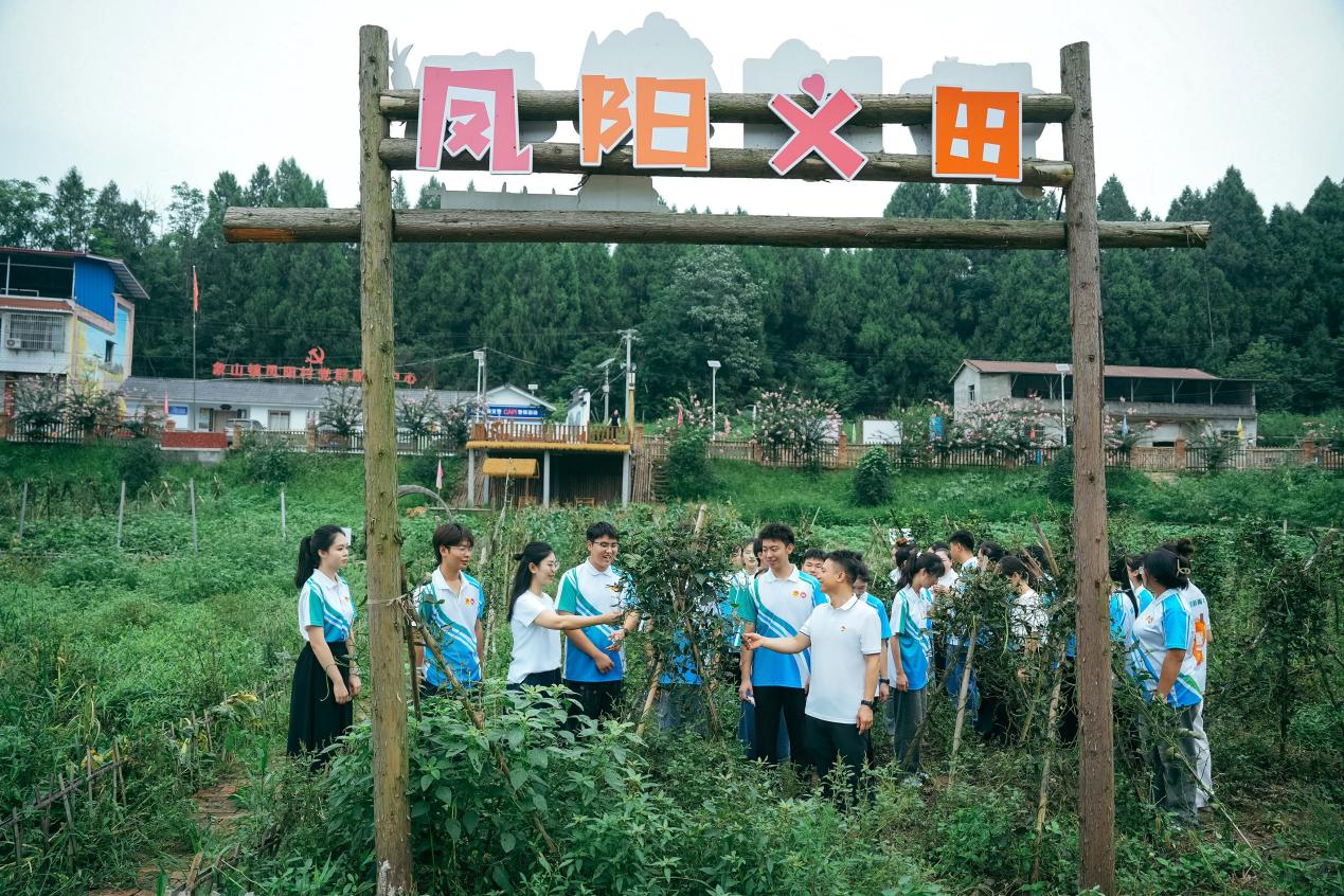 田野间的思政课:把青春播撒到乡村振兴一线
