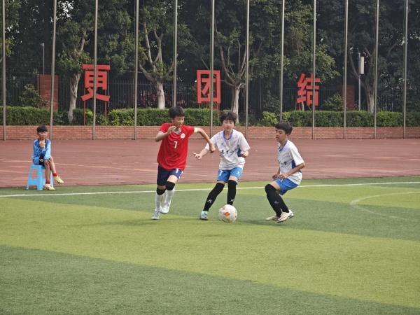 IMG_20250410_154246_2