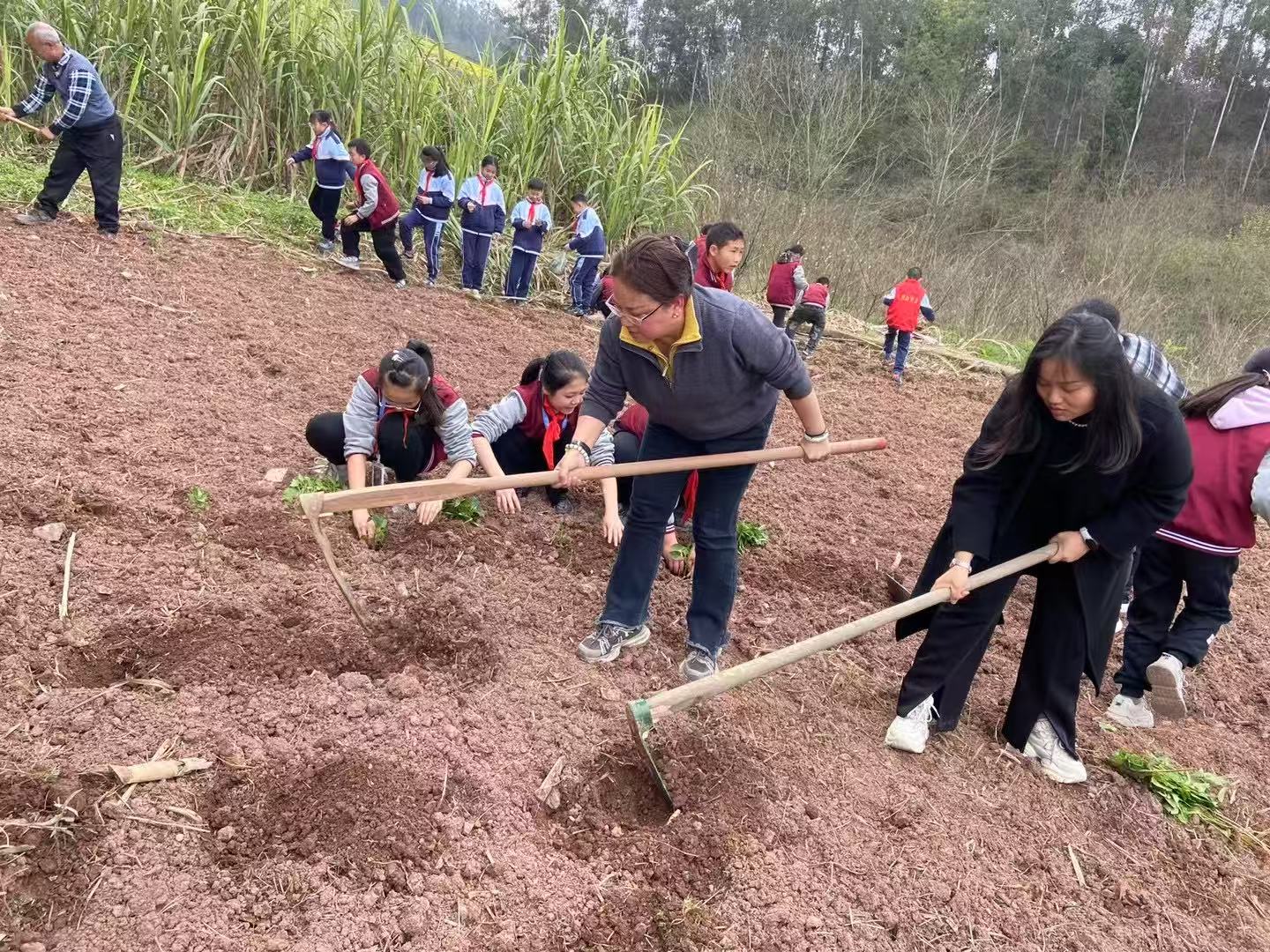 内江市市中区教体系统开展“学雷锋月”系列活动