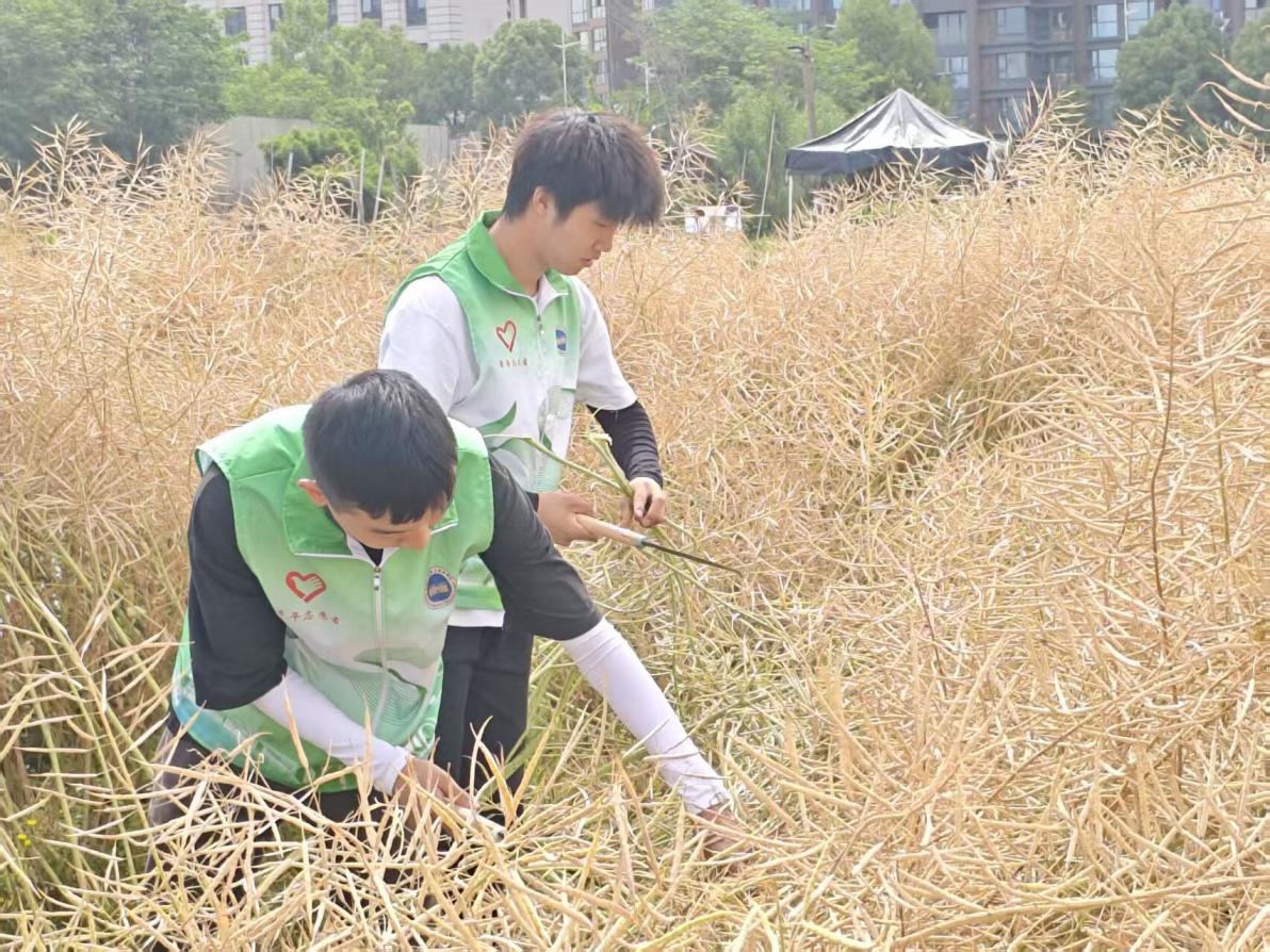 成都工贸职院学子田间课堂书写劳动教育新篇