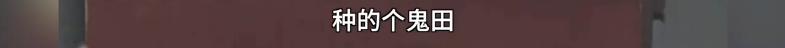 老教授7.png 老教授7.png
