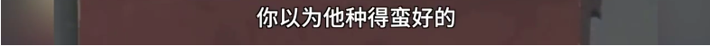 老教授5.png