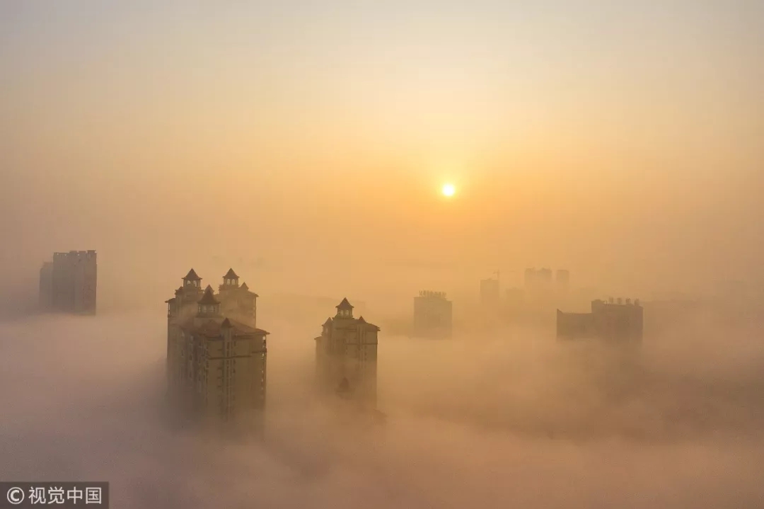 实习生，实习死