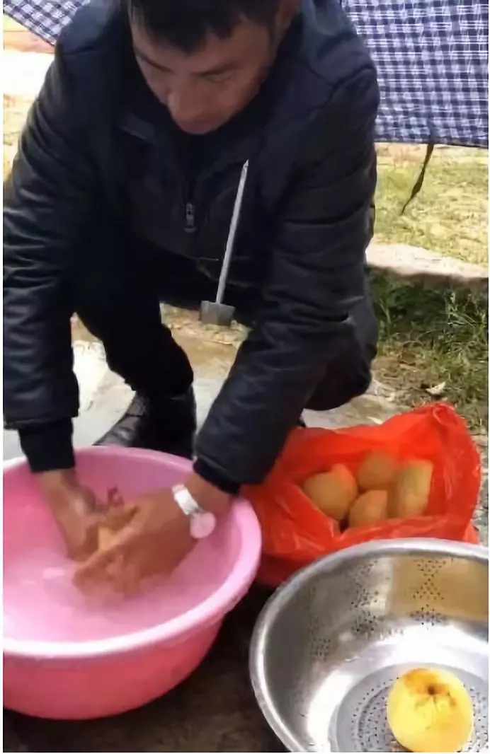 小学校长7.webp.jpg