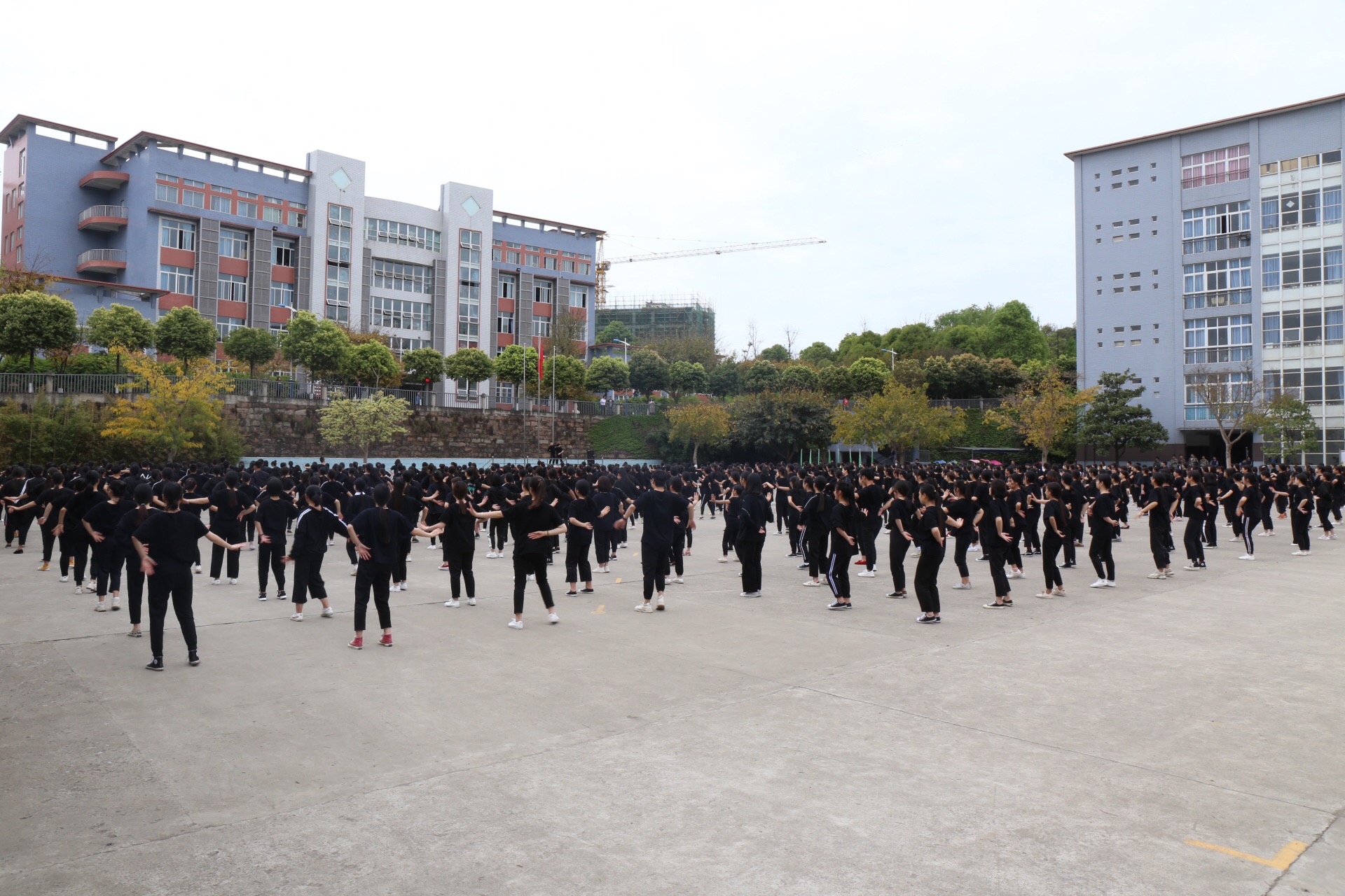 微信图片_20190411173800.jpg