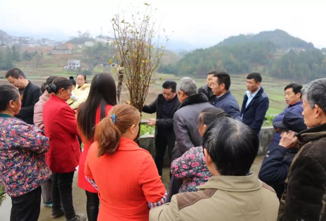 达州 | 万源市教科局认准“五个提升”新目标再出发