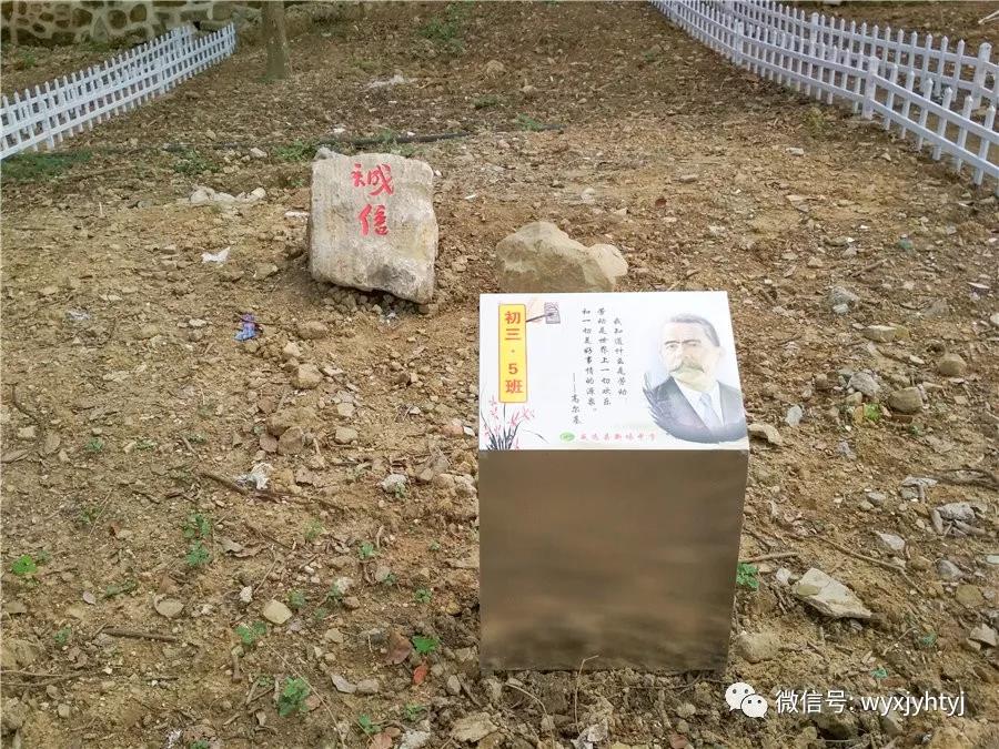 4.jpg 4.jpg