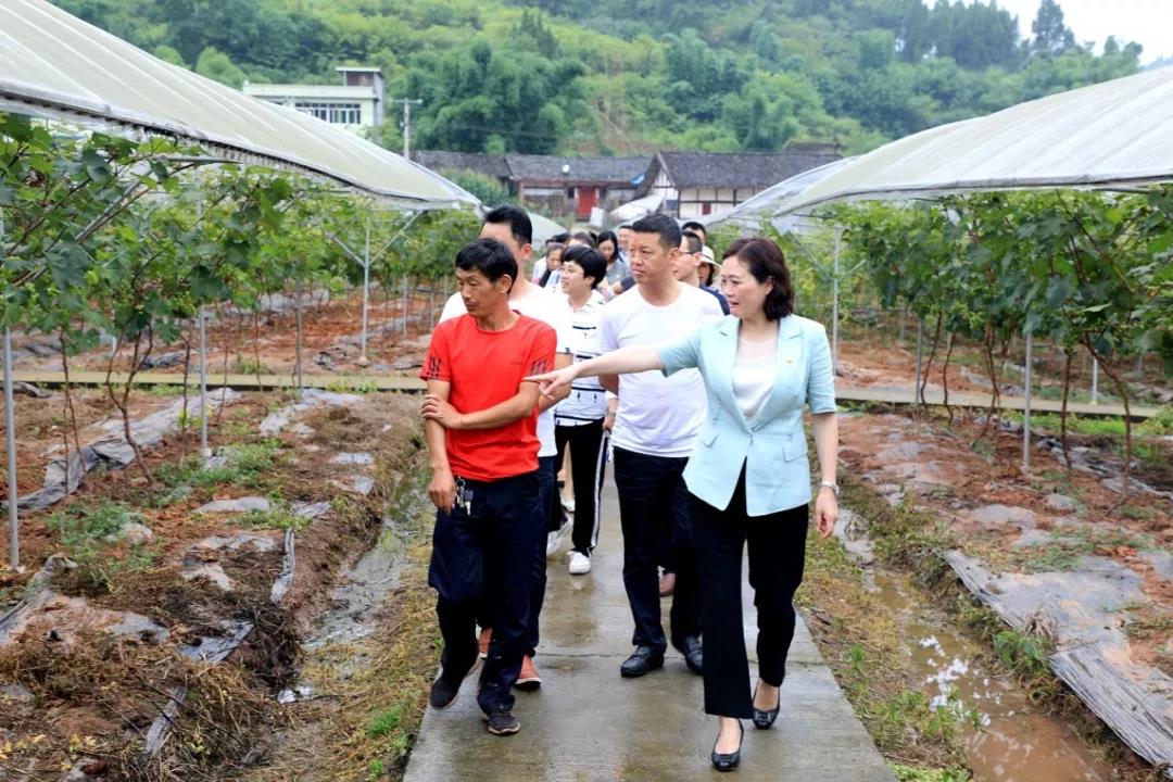 微信图片_20190620164559.jpg 微信图片_20190620164559.jpg