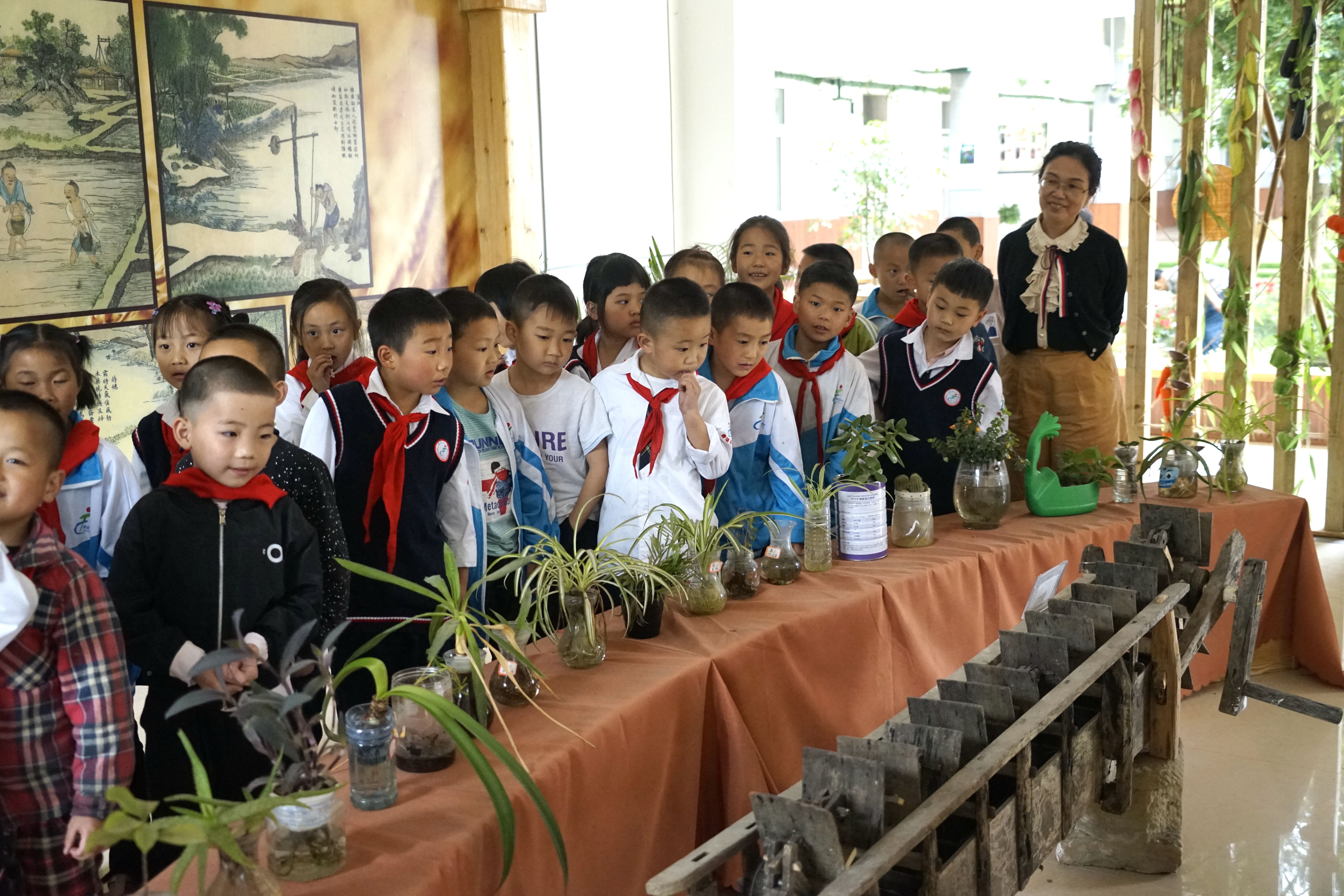 学生回流，这个县的乡村学校缘何“逆袭”