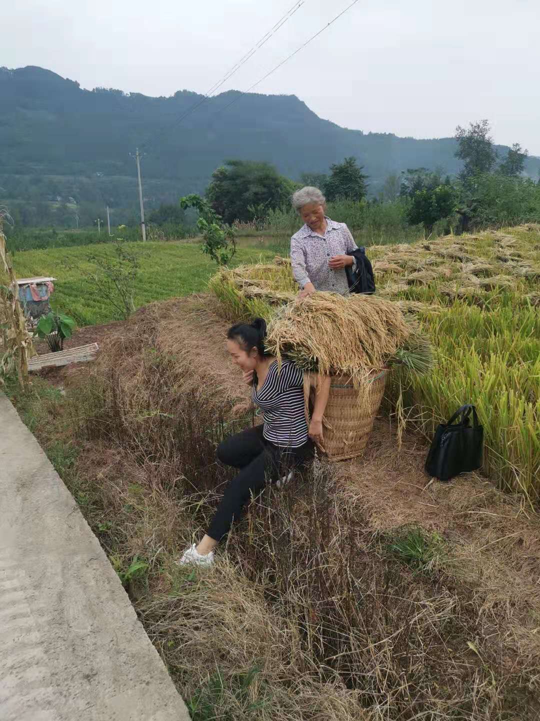 微信图片_20191203122717.jpg 微信图片_20191203122717.jpg