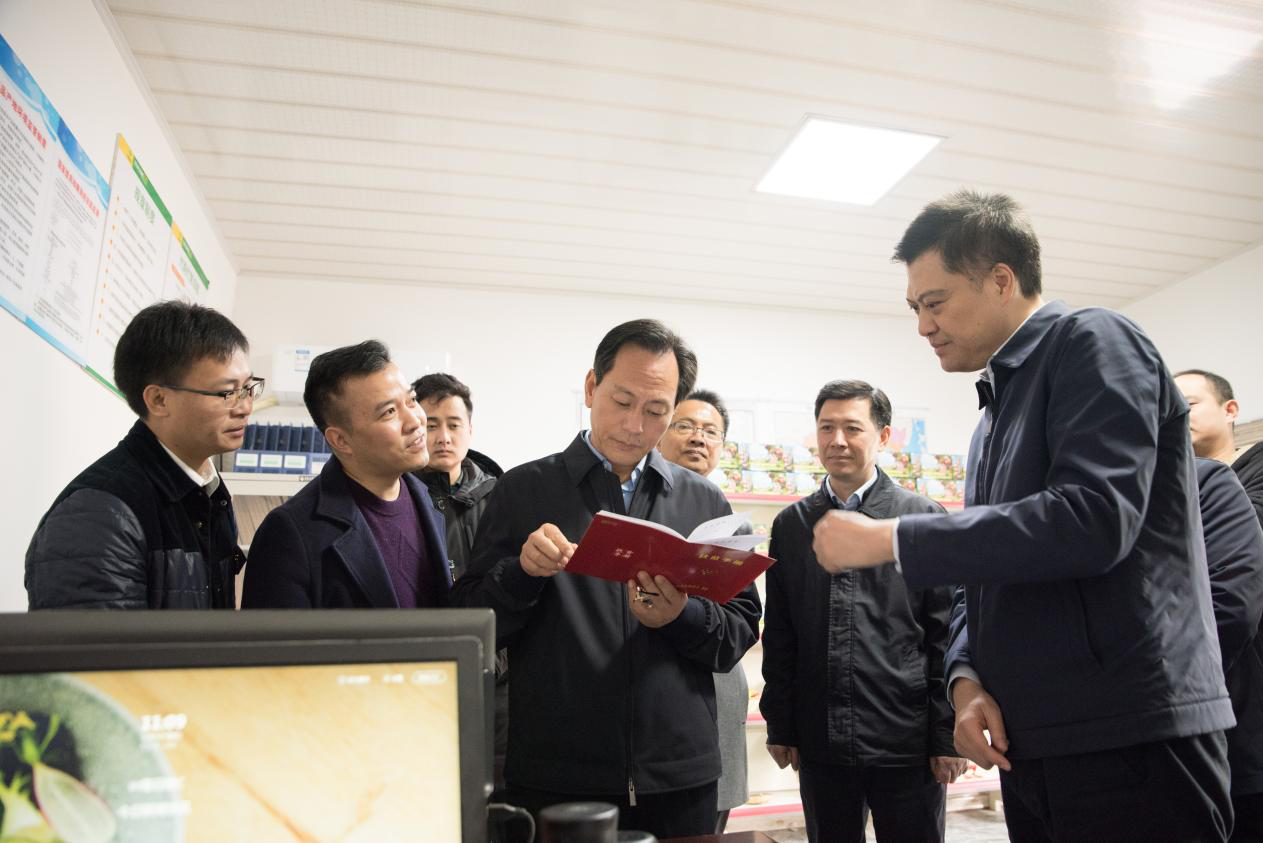 李江调研武胜县飞来石村脱贫攻坚工作