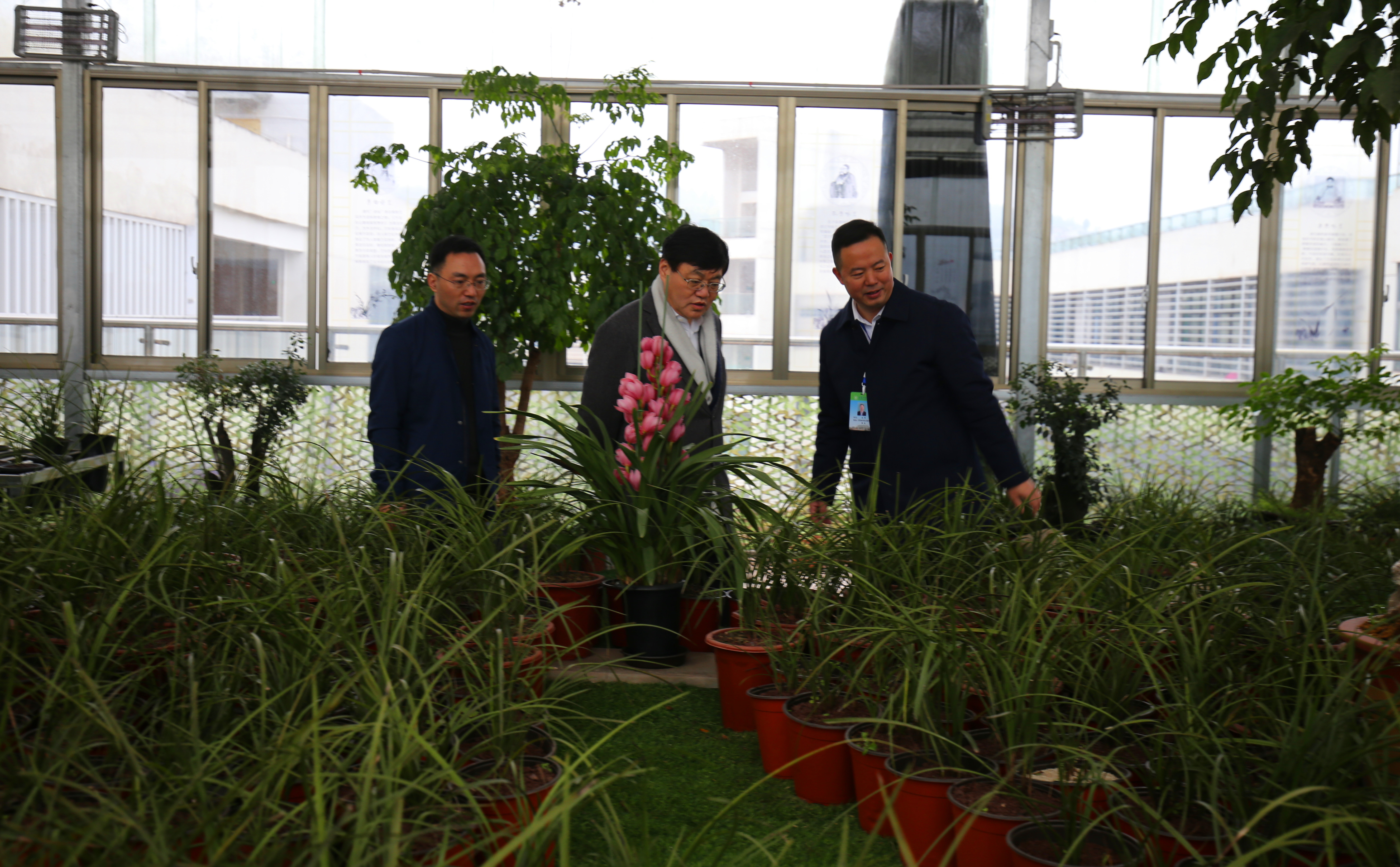 古蔺县实验学校树蕙园1.jpg 古蔺县实验学校树蕙园1.jpg