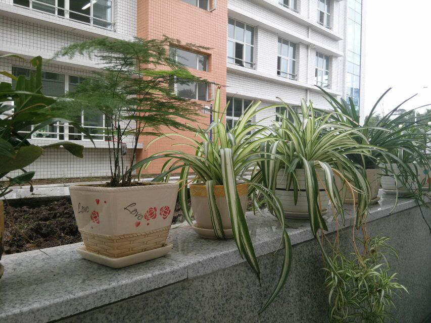 图片5.png 图片5.png