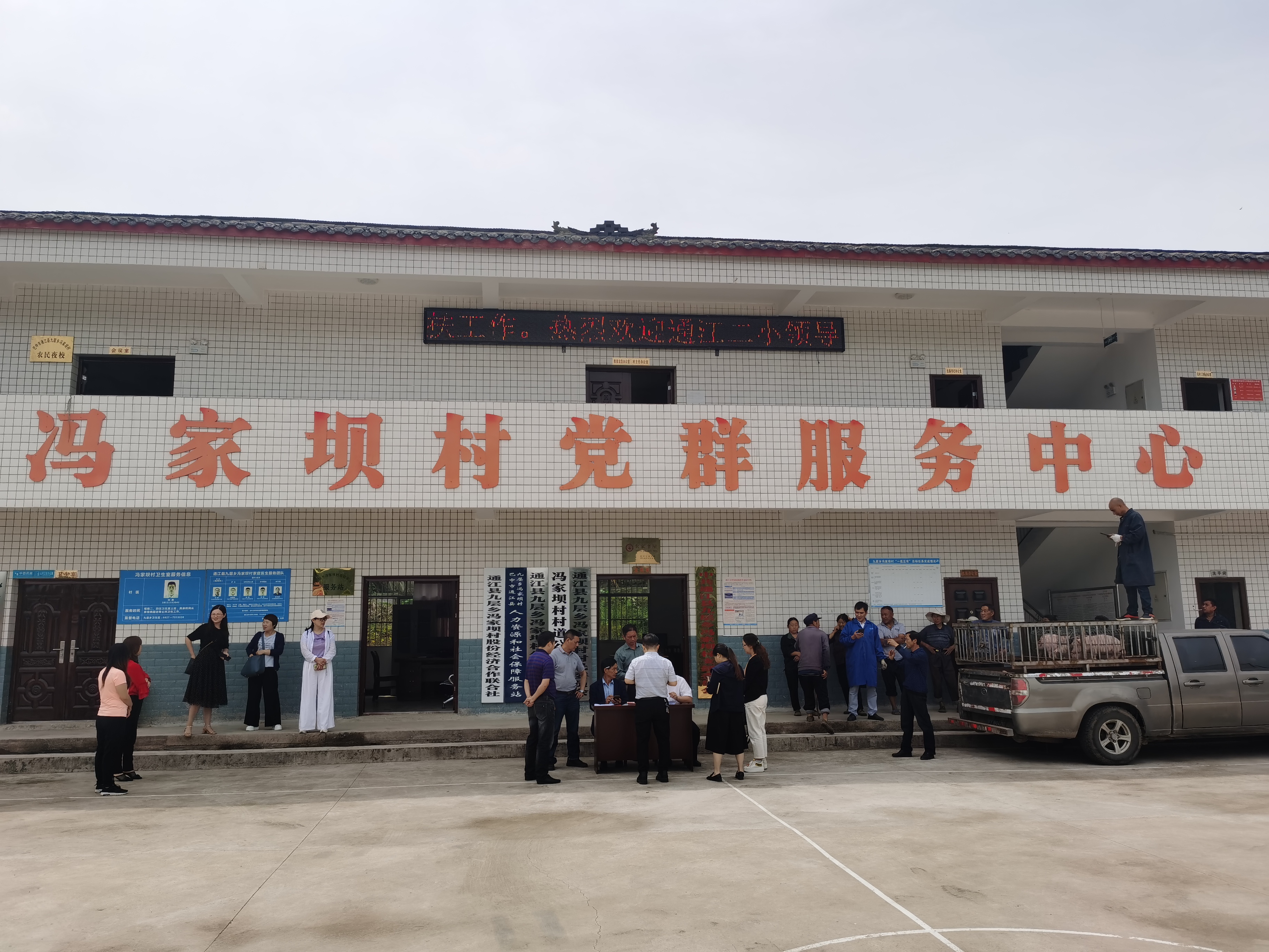 通江县30名教师“借款”圆贫困户“养猪梦”