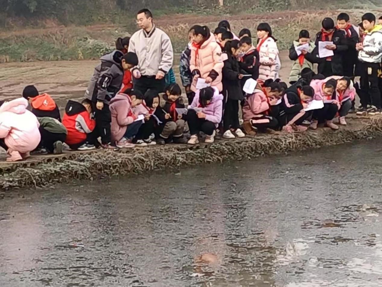 八耳 2.jpg 八耳 2.jpg