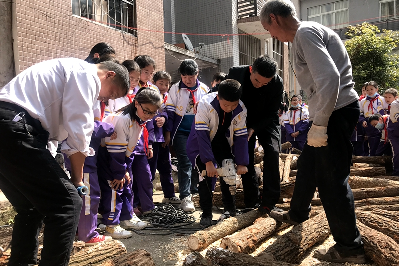 通江第六小学：银耳种植基地师生播种忙